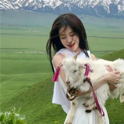 名侦探柯南:黑铁的鱼影